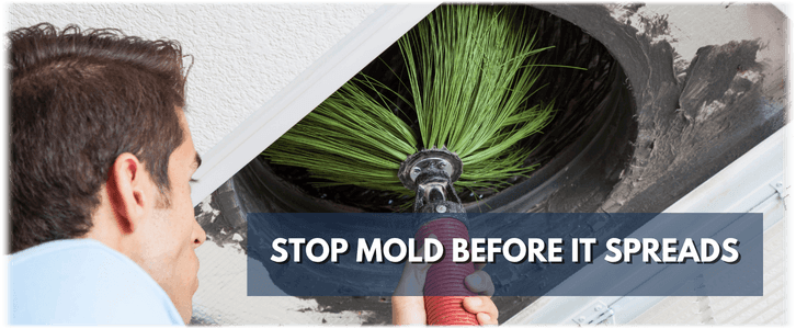 Air Duct Mold Removal in Monroe NJ